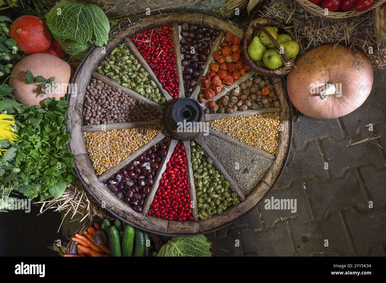 Frutta decorata dentro e intorno a una vecchia ruota a raggi di legno in una festa del raccolto, Franconia, Baviera, Germania, Europa Foto Stock