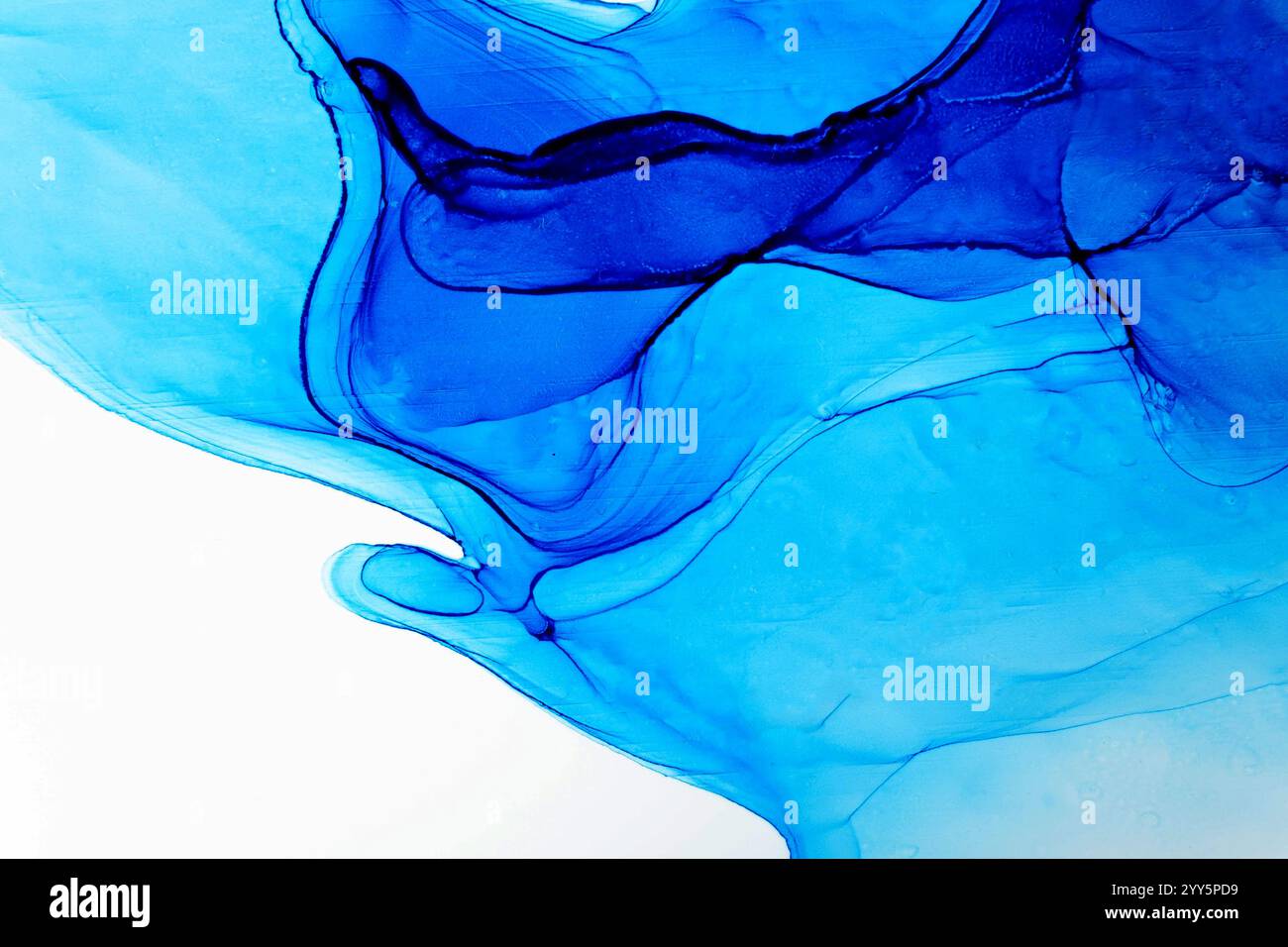 Le ricche sfumature di inchiostro blu dell'alcool si mescolano e ballano su una superficie bianca incontaminata, creando un ipnotico sfondo astratto. Foto Stock