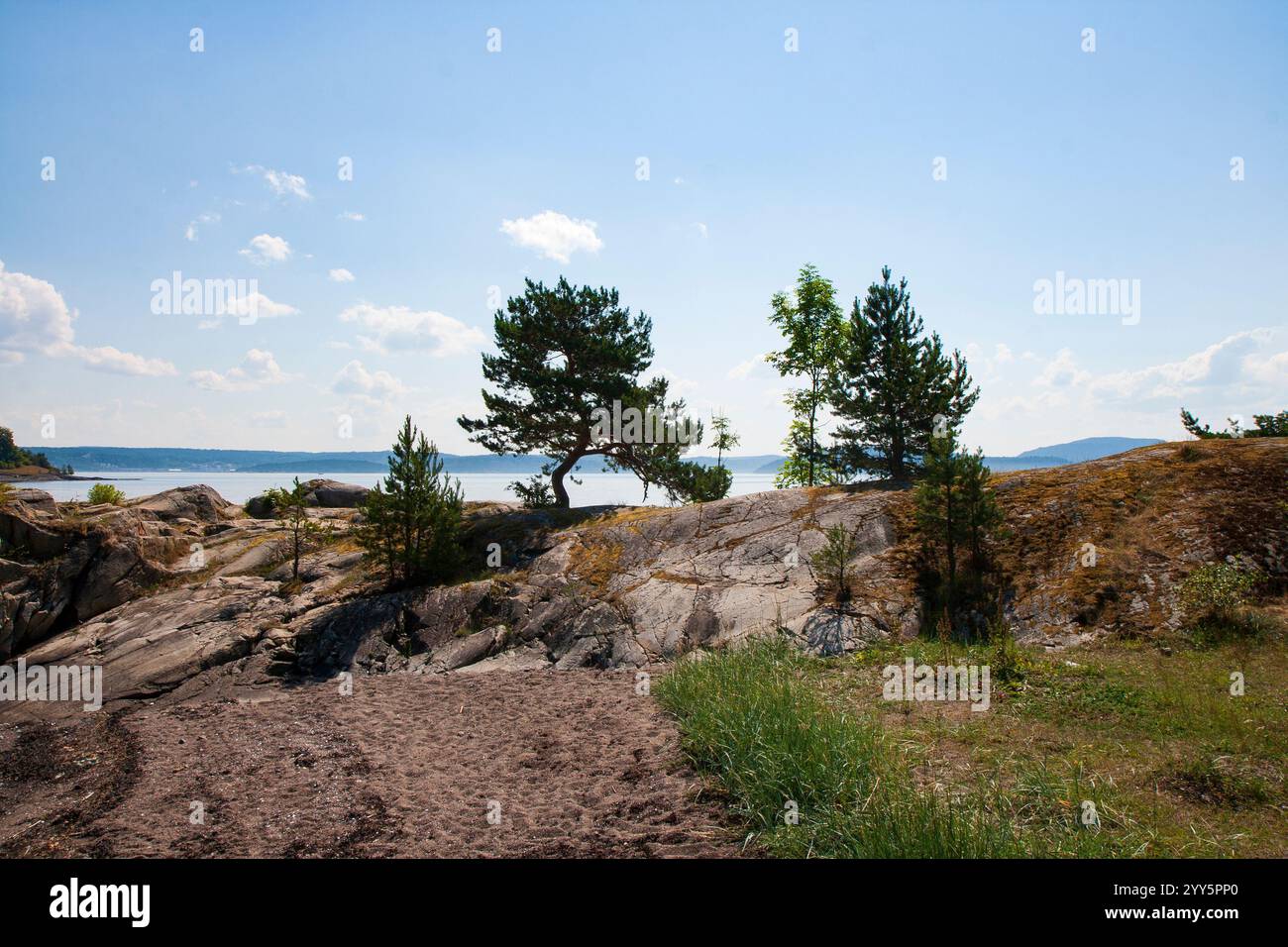 Alberi sulle rocce al fiordo di Oslo, in Norvegia, in estate Foto Stock