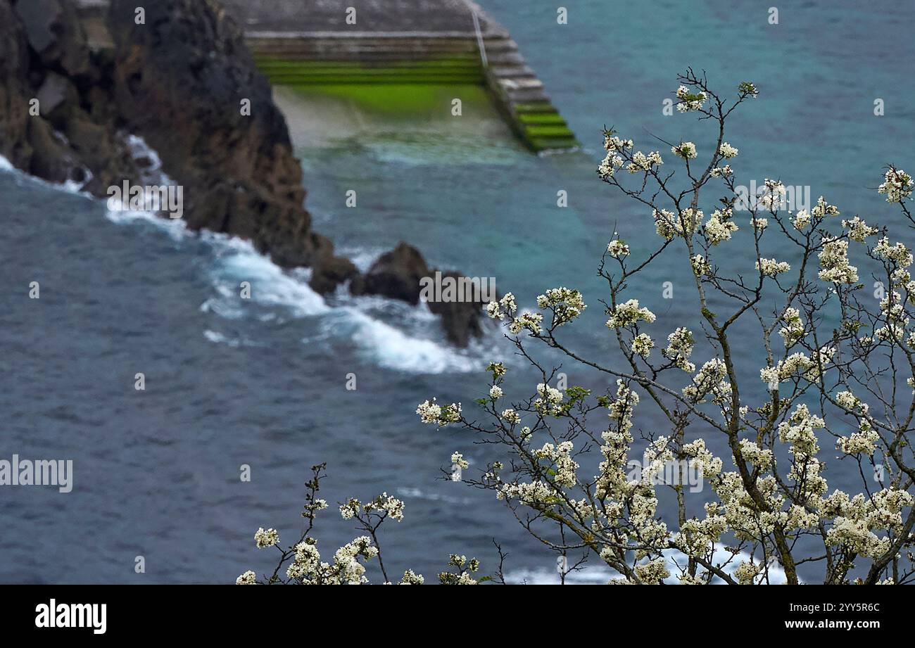 Famose rocce flysch dell'Atlantico nei Paesi Baschi, in Spagna Foto Stock