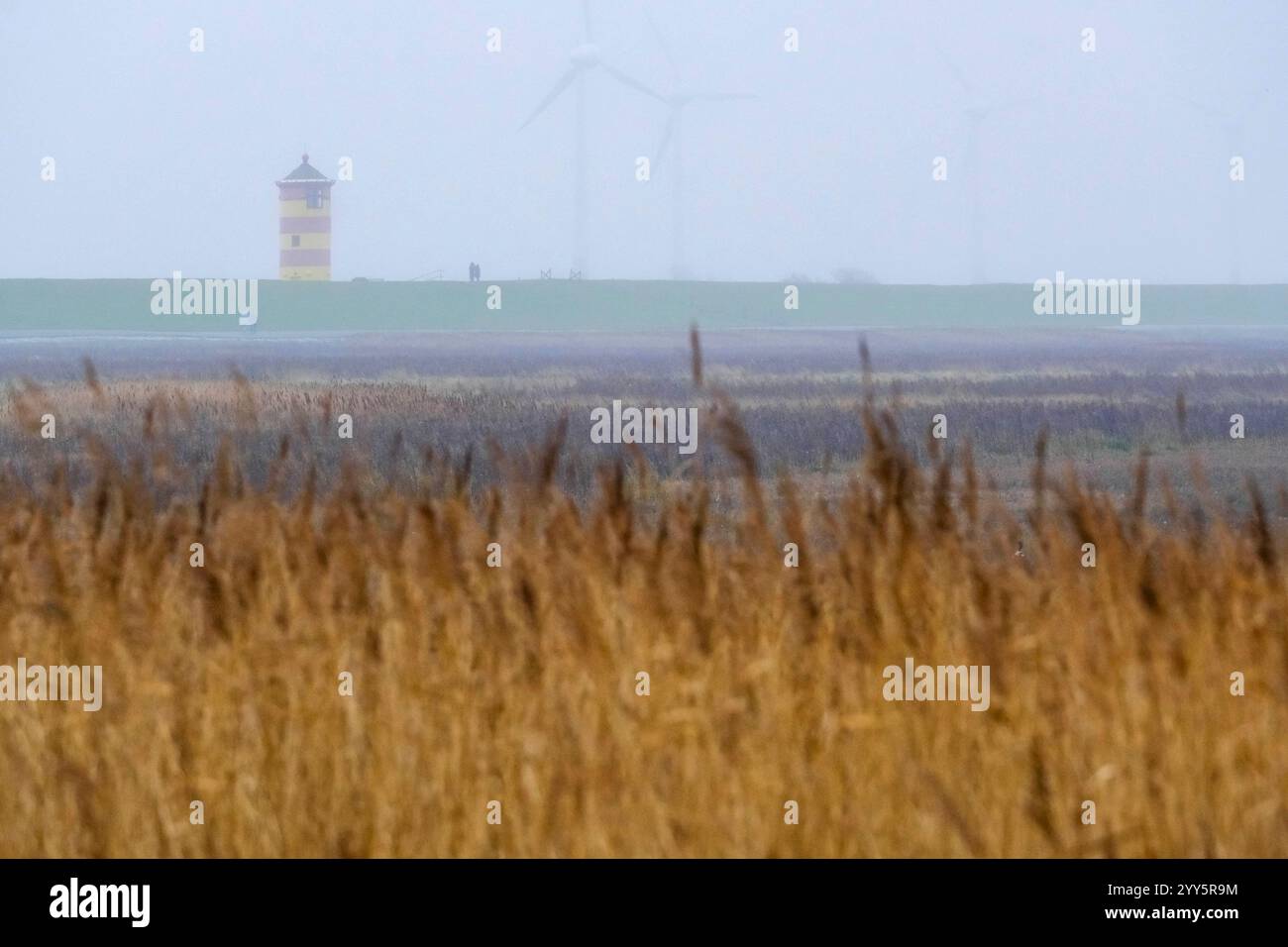 DEU, Deutschland, Niedersachsen, Krummhörn, Greetsiel, 15.12.2024: Blick auf den Pilsumer Leuchtturm an einem dunstigen Dezembertag vom Naturschutzgeb Foto Stock