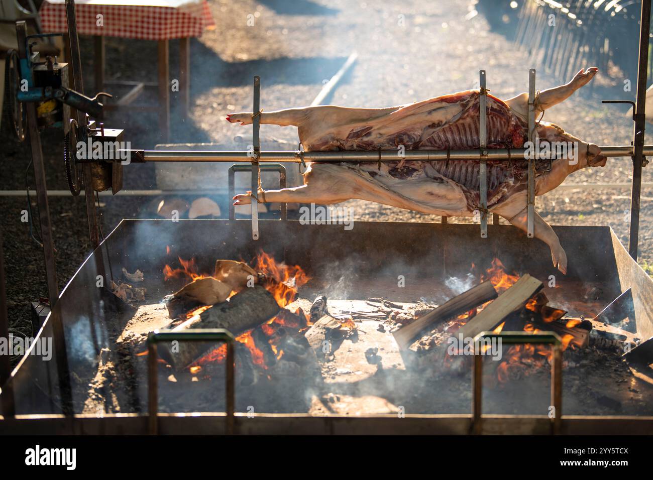 Un agnello giovane (pecora) e un maiale su spiedino. Maiale e agnello arrostiti interi su uno spiedo d'acciaio rotante con fuoco e fumo. Griglia tradizionale Foto Stock