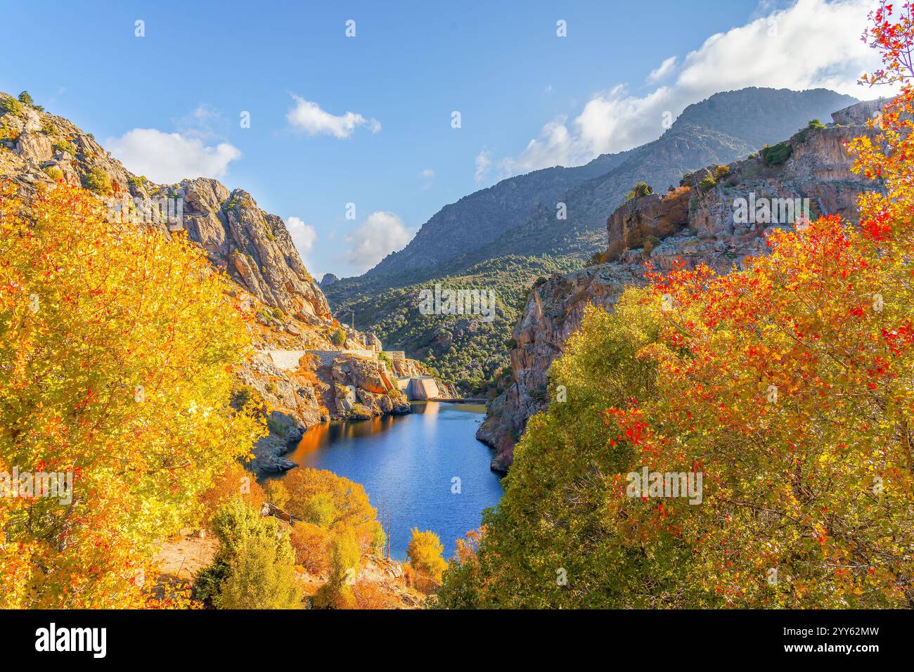Paesaggio con Lac de Calacuccia, Corsica, Francia Foto Stock