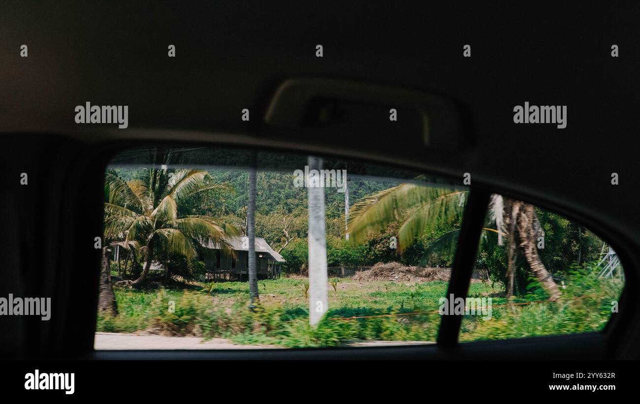 Dal sedile posteriore di un'auto, si può vedere un bellissimo e lussureggiante campo verde Foto Stock