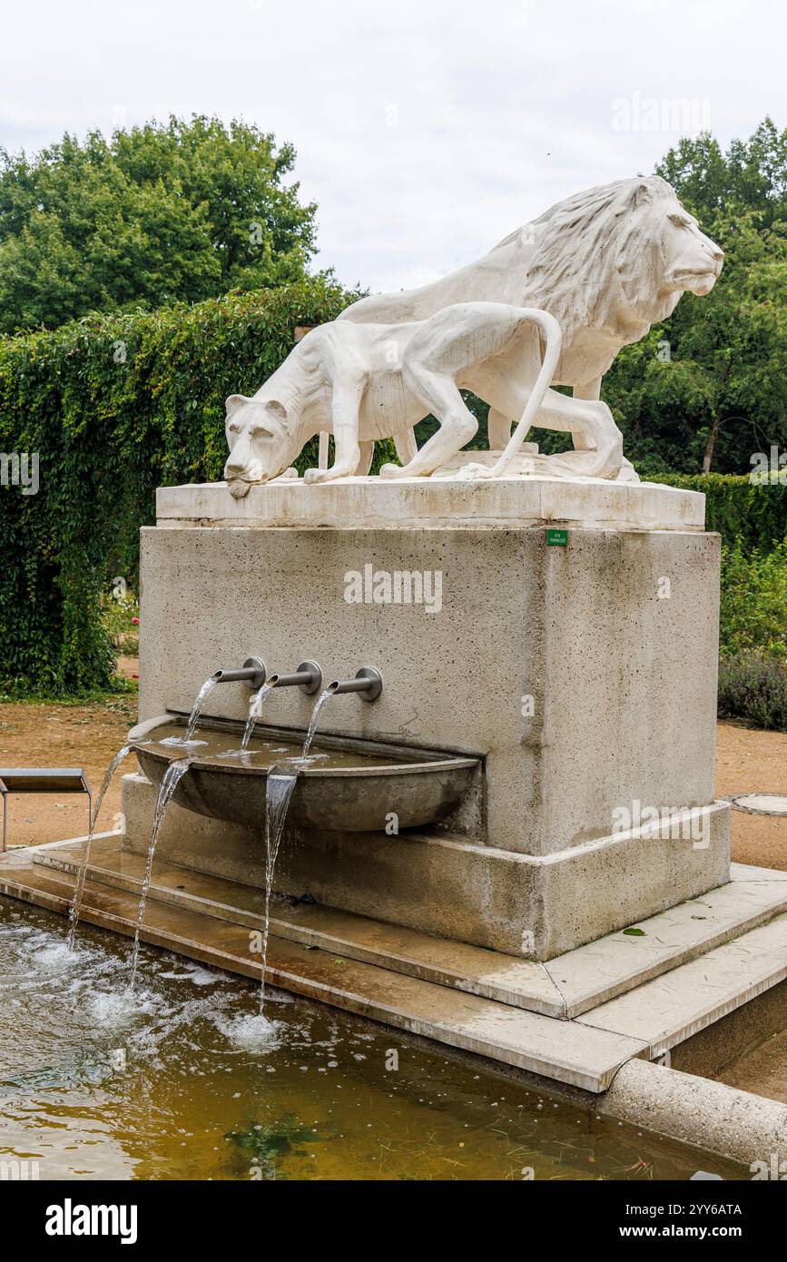 Statua dei Leoni assetati, Rose Garden della Germania Est, Forst, Germania Foto Stock
