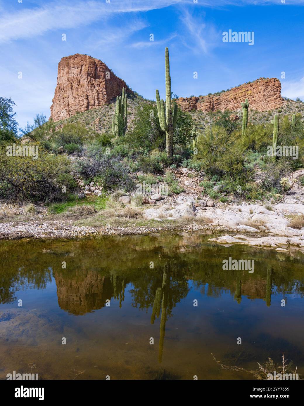 Splendido paesaggio del deserto di Sonora a Tortilla Flat, Arizona, lungo lo storico Apache Trail. Foto Stock