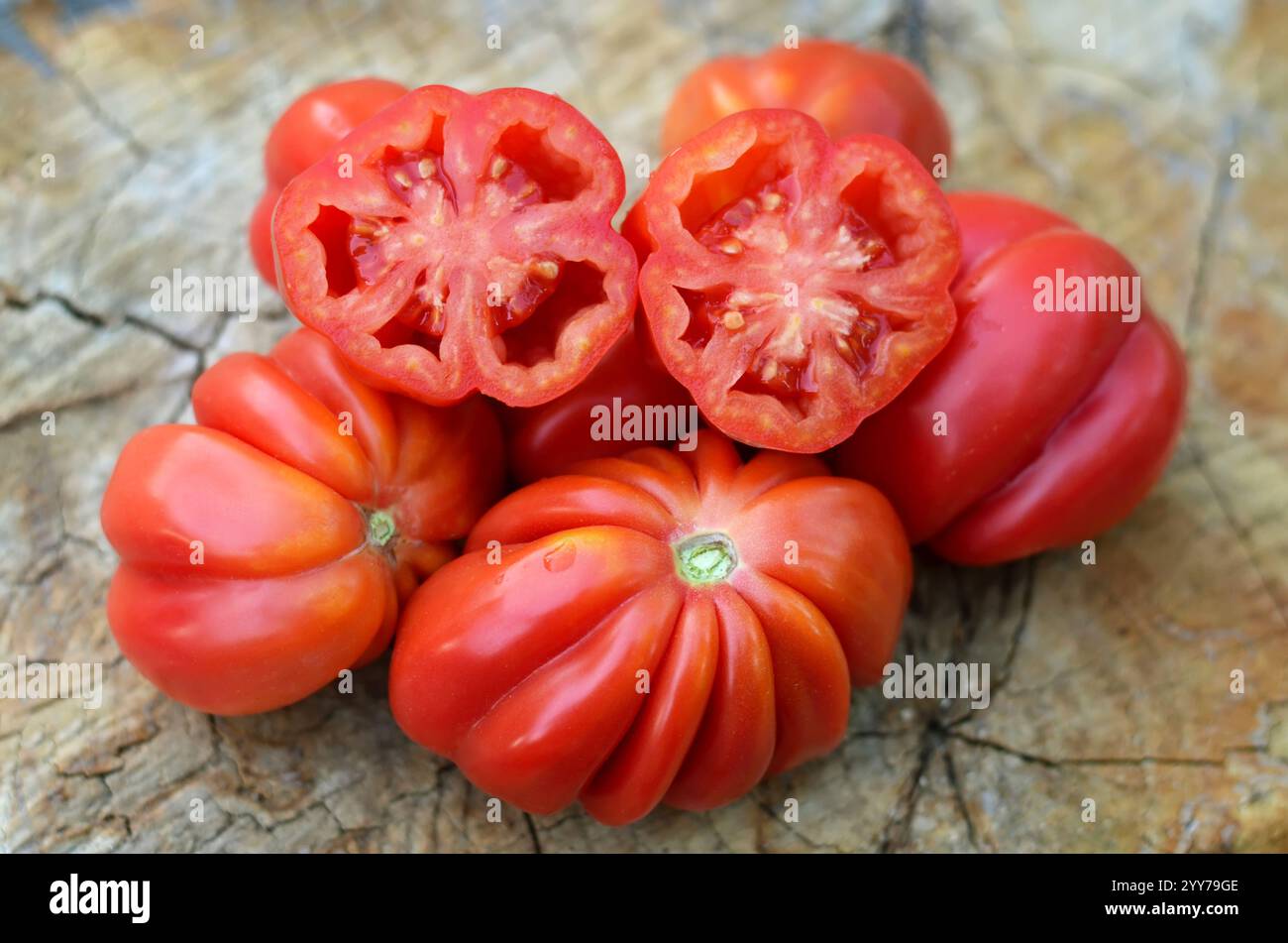 Primo piano di pomodori rossi a costine intere e tagliati a metà su un vecchio ceppo d'albero come sfondo. Concetto di coltivazione di pomodori varietali. Foto Stock