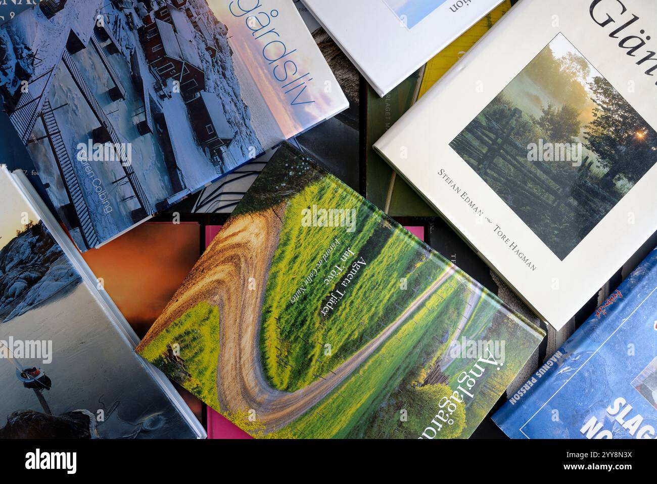 Stoccolma, Svezia - 20 dicembre 2024: Pila di diversi libri da tavolino da caffè Foto Stock