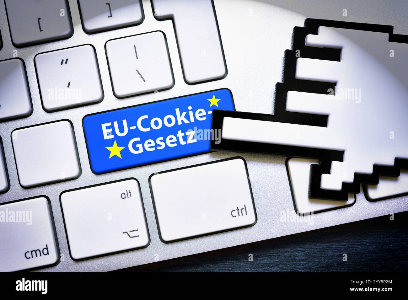 FOTOMONTAGE, Computertaste mit der Aufschrift EU-Cookie-Gesetz **** FOTOMONTAGE, pulsante computer con iscrizione EU Cookie Law Foto Stock