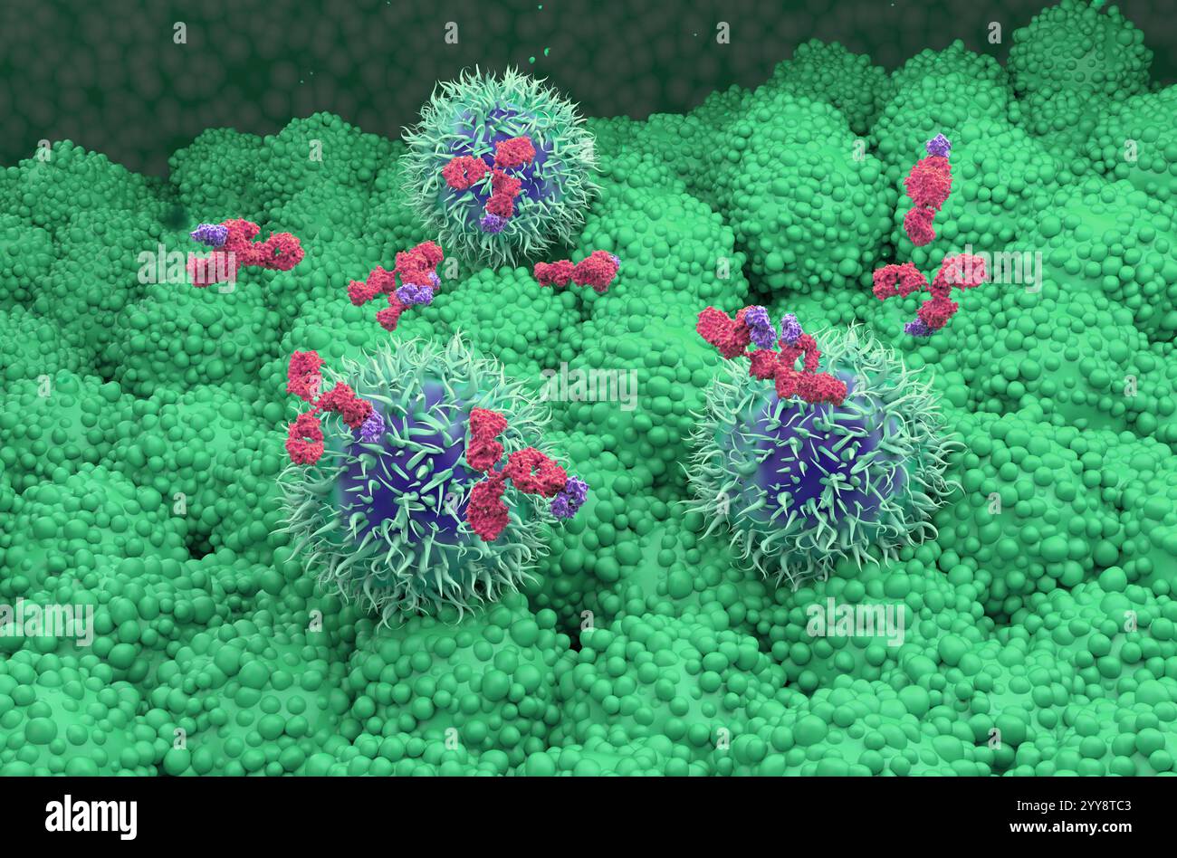 Trattamento con anticorpi monoclonali nel cancro del pancreas - Vista isometrica illustrazione 3D. Foto Stock
