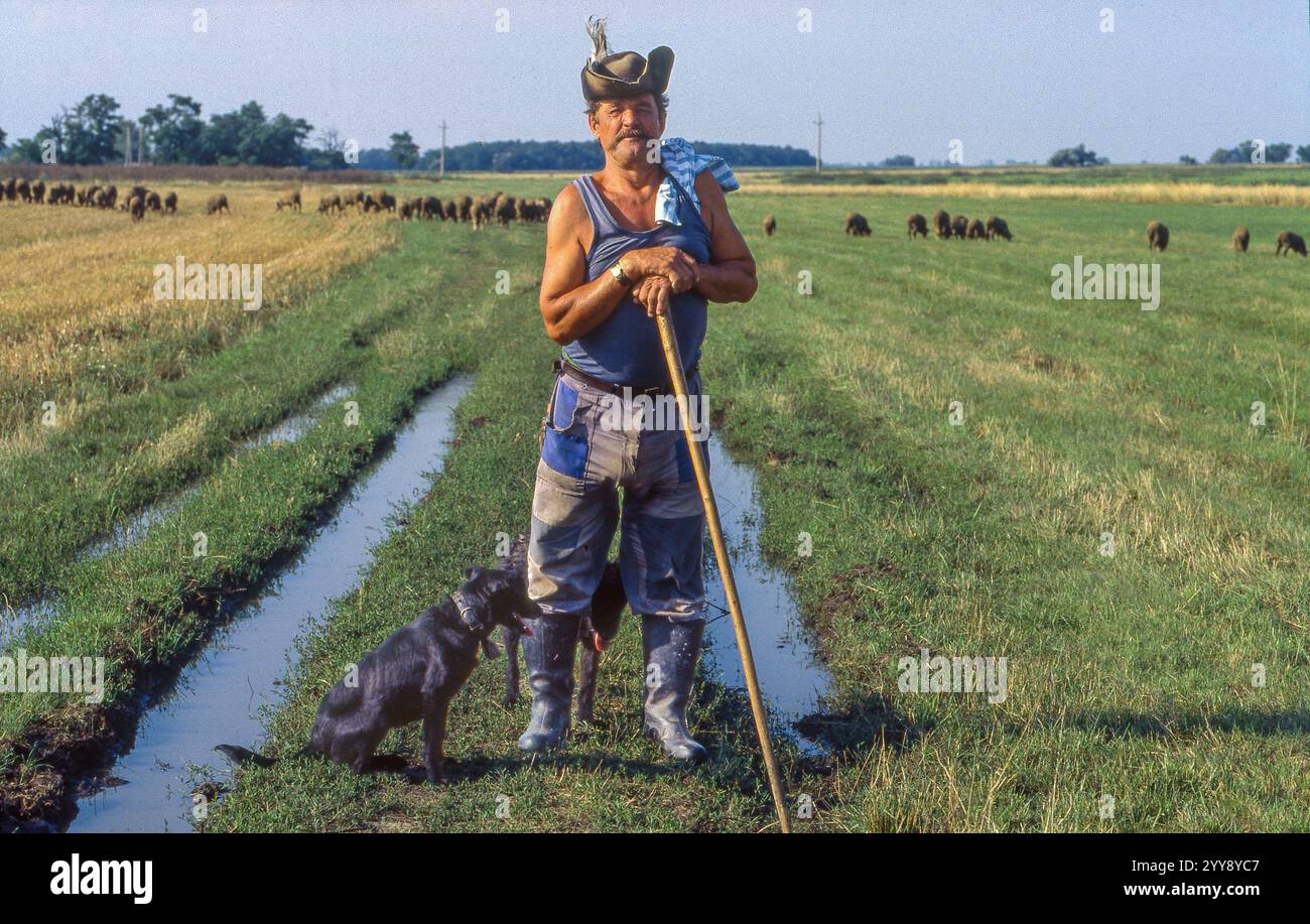 Ungheria, un allevatore di pecore con i suoi due cani in campagna. Foto Stock