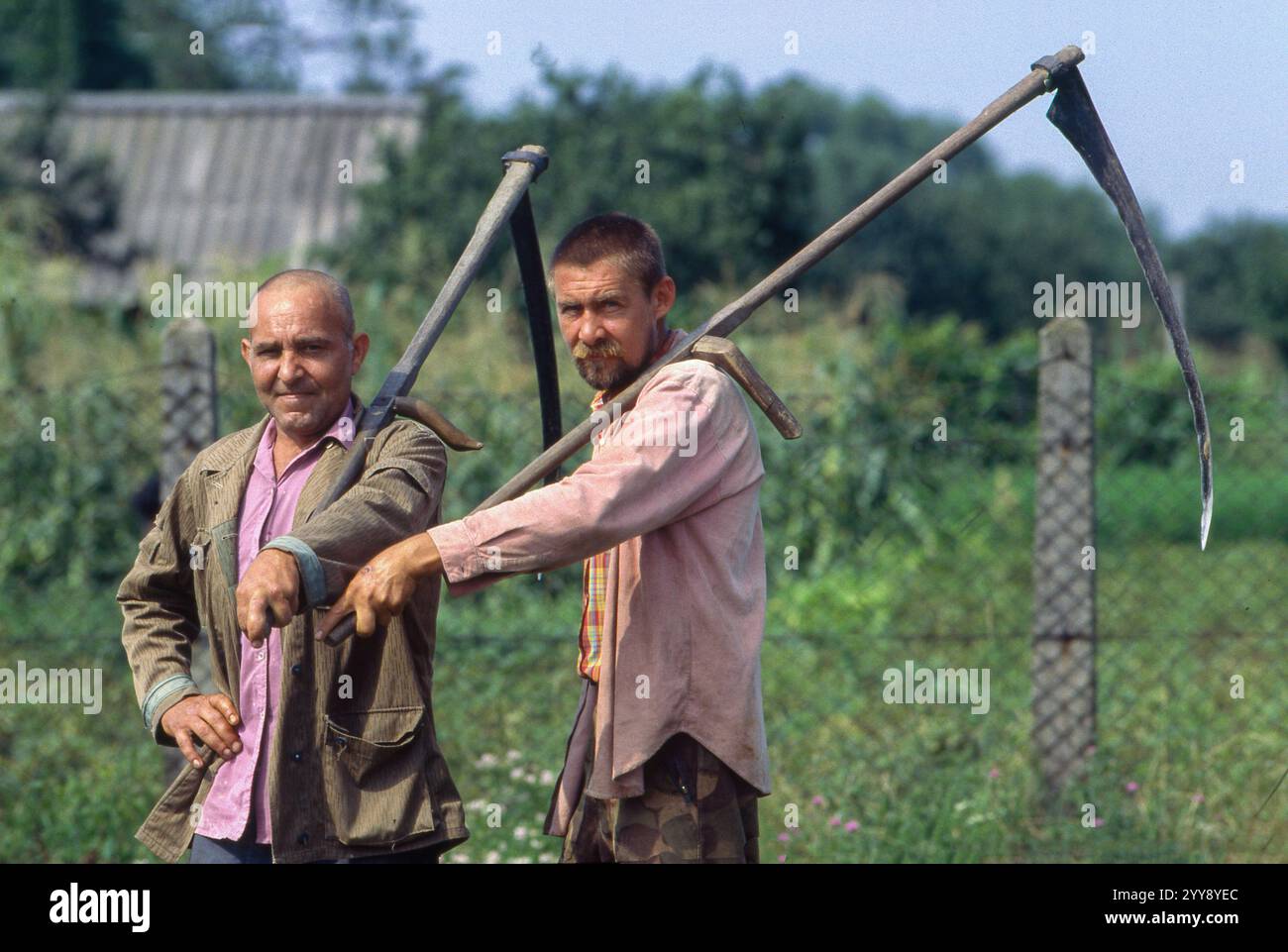 Ungheria, gli agricoltori hanno appena falciato la prateria con una falce. Foto Stock