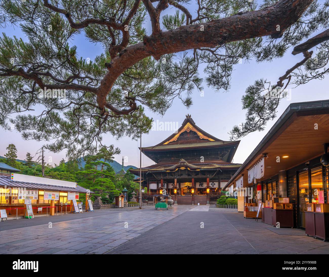 Tempio Zenkoji, Nagano, giardini del tempio giapponese e sala principale all'alba. Foto Stock