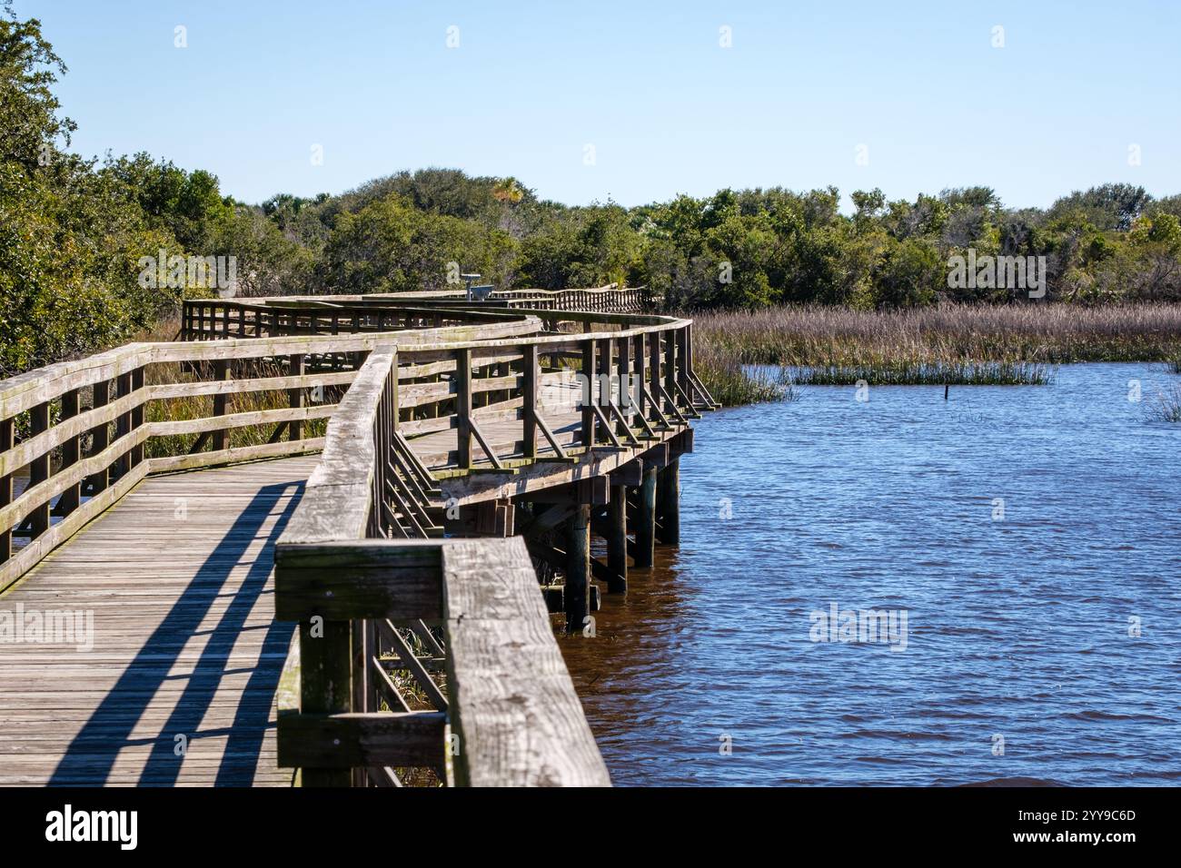 Cumberland Island National Seashore Marsh Boardwalk Foto Stock