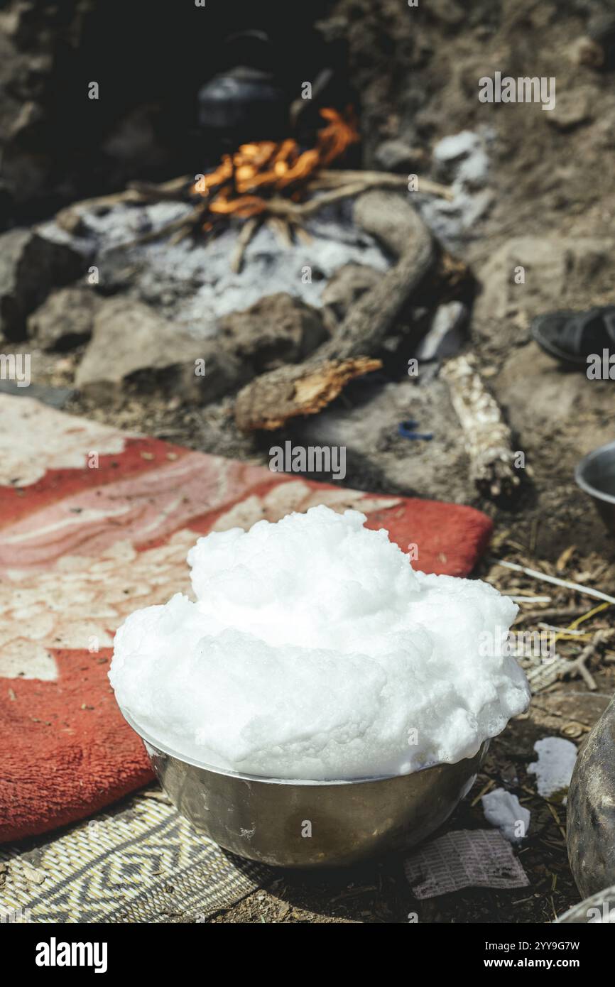 Latte di cammello presso l'allevamento di cammelli dello sceicco Ahmed Ali al-Mahri, Sarfeit, Dhofar, Oman, Asia Foto Stock