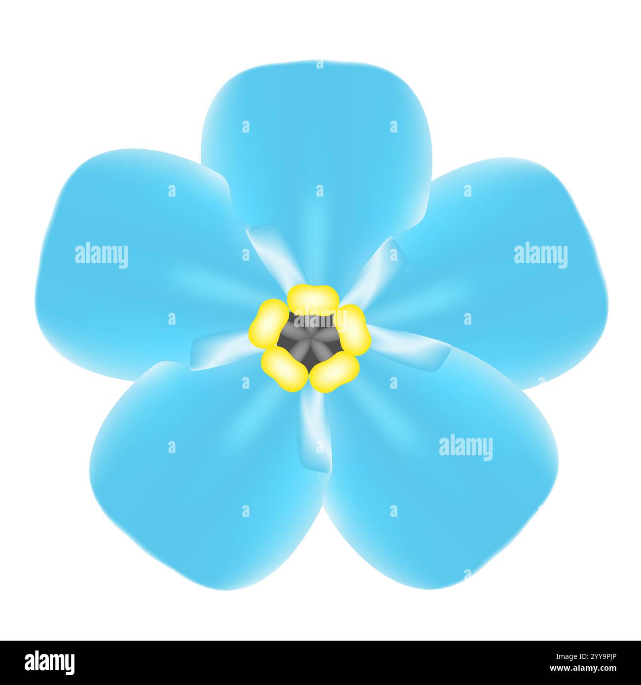 Non dimenticarmi, fiore blu. Illustrazione Vettoriale