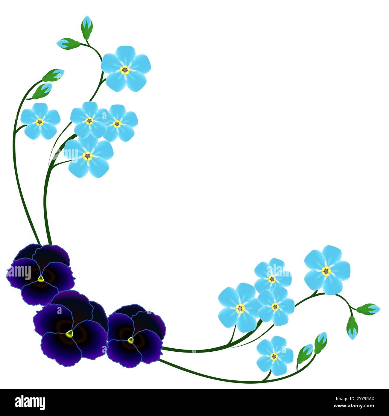 Angolo con il blu dimenticatemi non fiori e pansie. Illustrazione Vettoriale