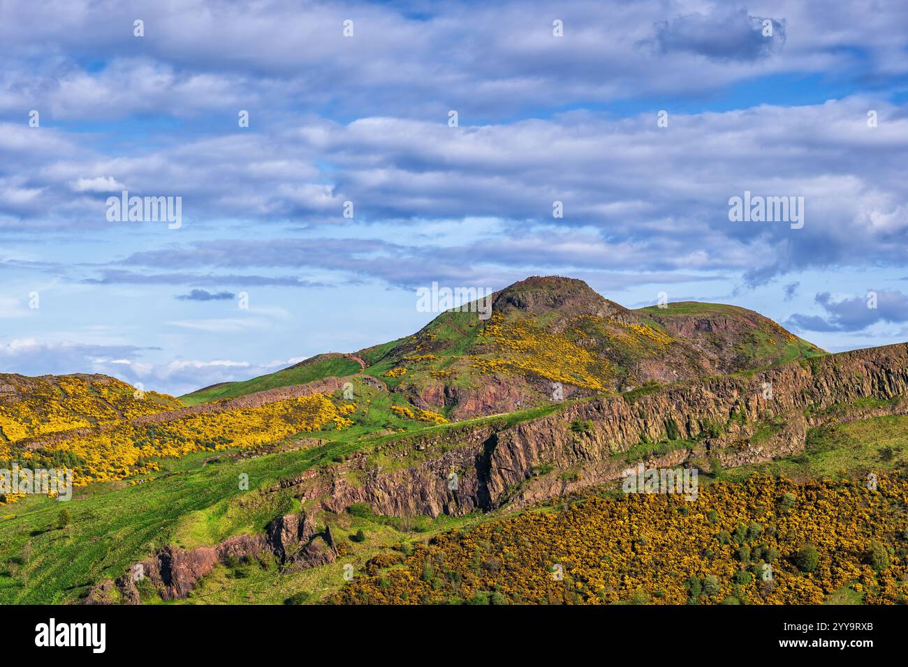 Paesaggio delle Lowlands scozzesi con Arthur's Seat e Salisbury Crags in primavera, Holyrood Park a Edimburgo, Scozia, Regno Unito. Foto Stock