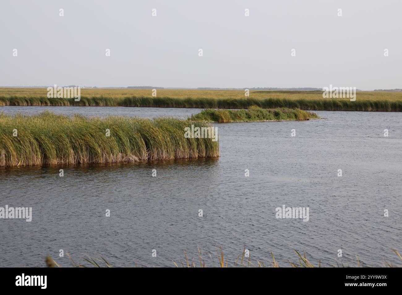 paesaggio prateria lago e paludi in autunno Foto Stock paesaggio prateria lago e paludi in autunno Foto Stock