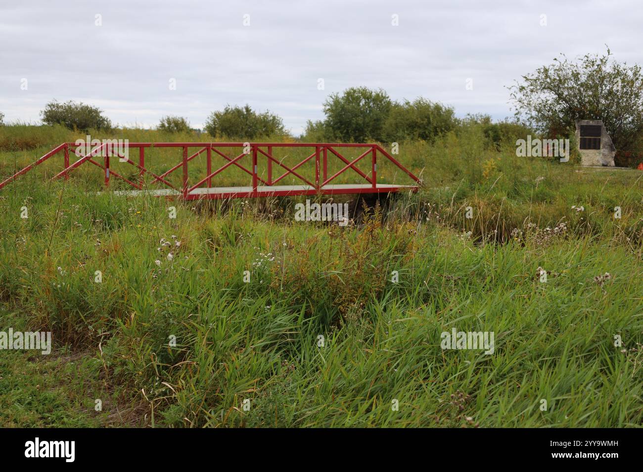 ponte in acciaio e legno che attraversa un canale in prateria Foto Stock