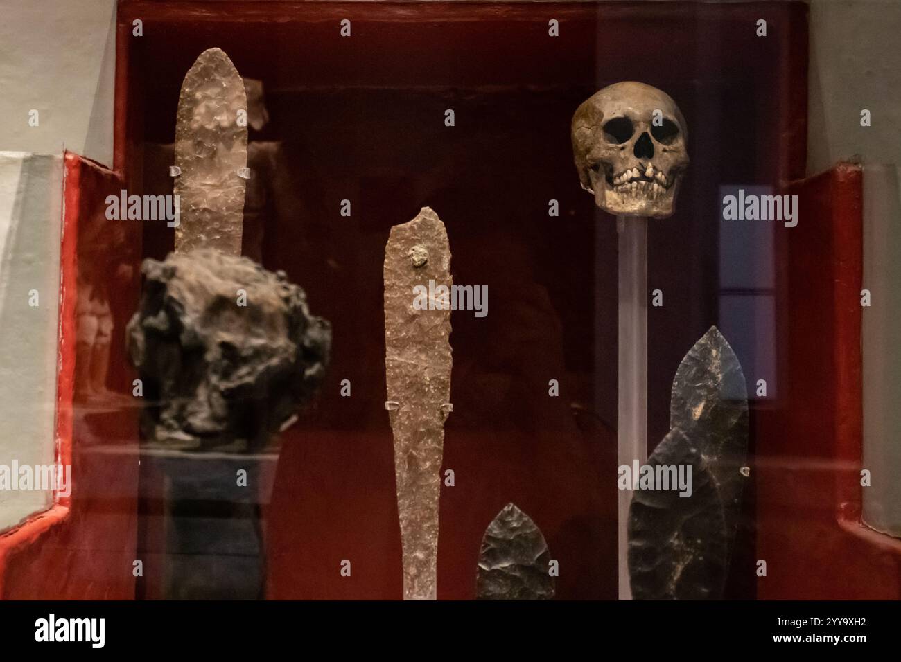 Città del Messico, Messico 12 novembre 2024: Autentici teschi delle vittime del sacrificio umano e i coltelli utilizzati nel rituale chiamato tecpatl. Foto Stock