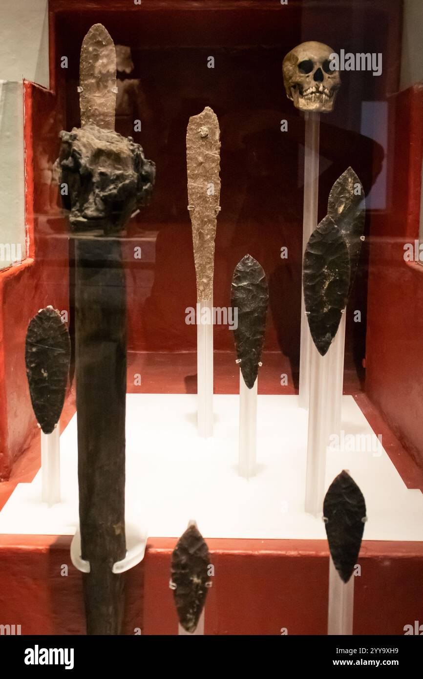 Città del Messico, Messico 12 novembre 2024: Autentici teschi delle vittime del sacrificio umano e i coltelli utilizzati nel rituale chiamato tecpatl. Foto Stock