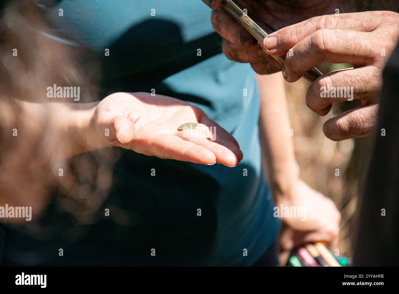 gli archeologi scattano una fotografia con i loro telefoni cellulari di un'antica moneta apparsa nello scavo. Foto Stock