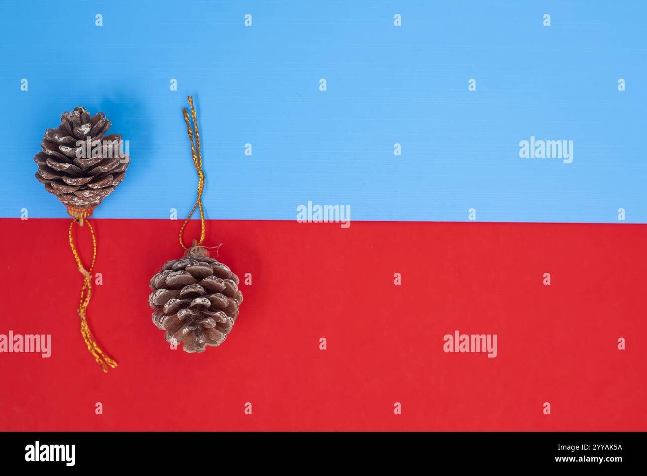 Eleganti coni di pino marrone adornati con anse dorate, posti su un doppio sfondo blu e rosso vibrante. ideale per temi stagionali e decorativi Foto Stock