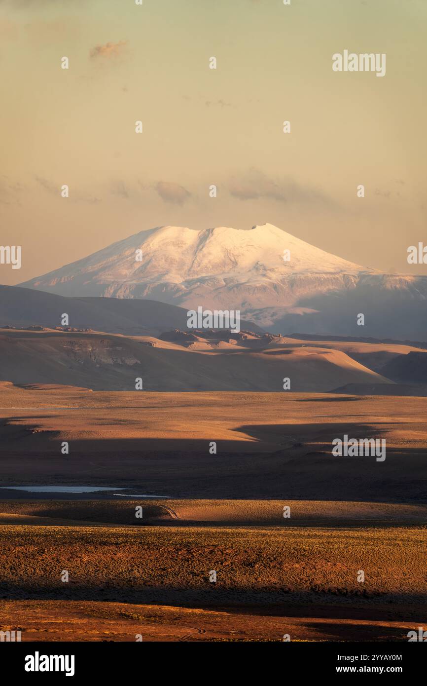 Altiplano in Bolivia, Sud America Foto Stock