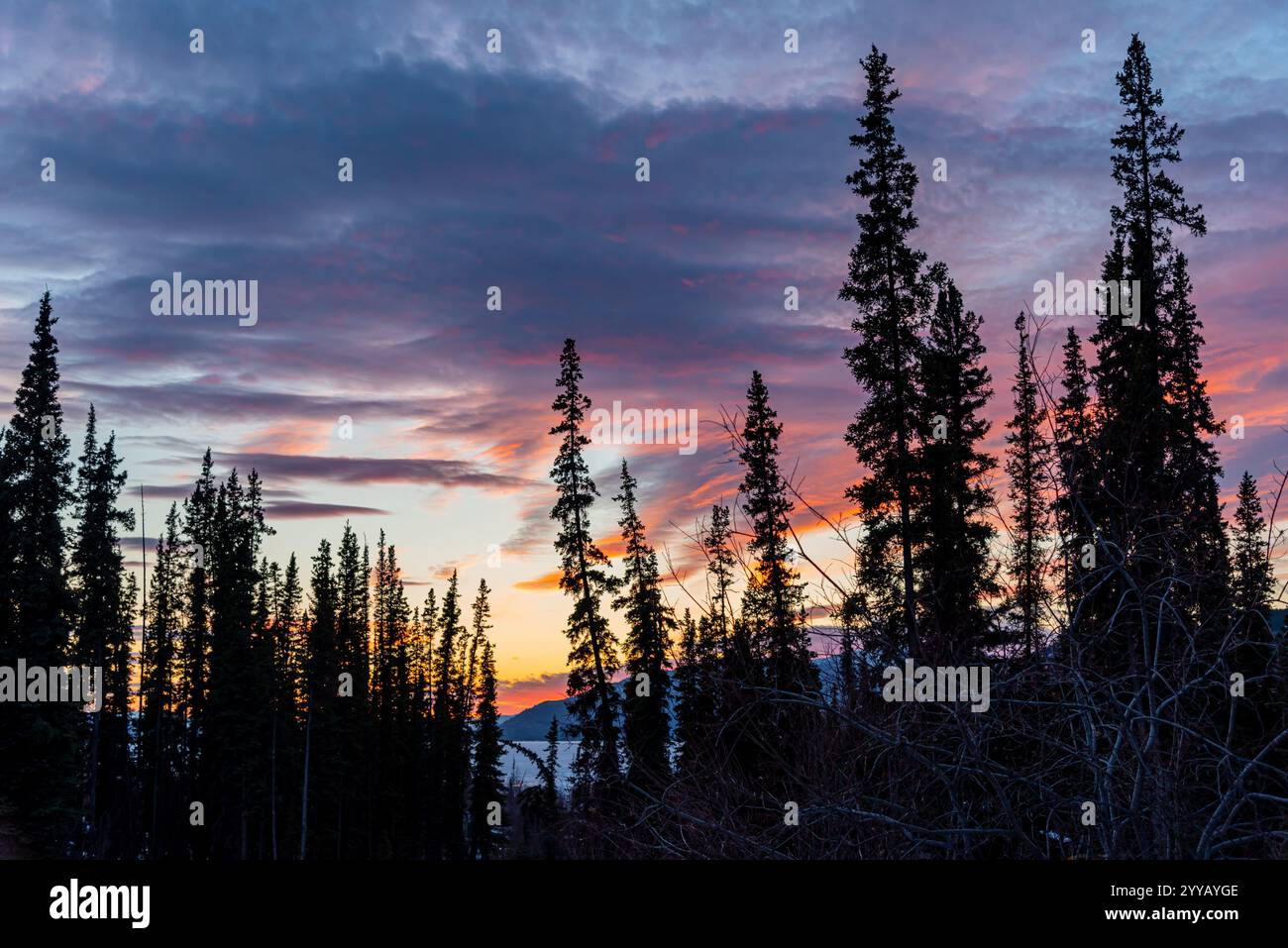 Splendido tramonto colorato visto in primavera dal Canada settentrionale con meravigliosi colori rosa, viola, arancione e giallo brillanti e vivaci. Foto Stock