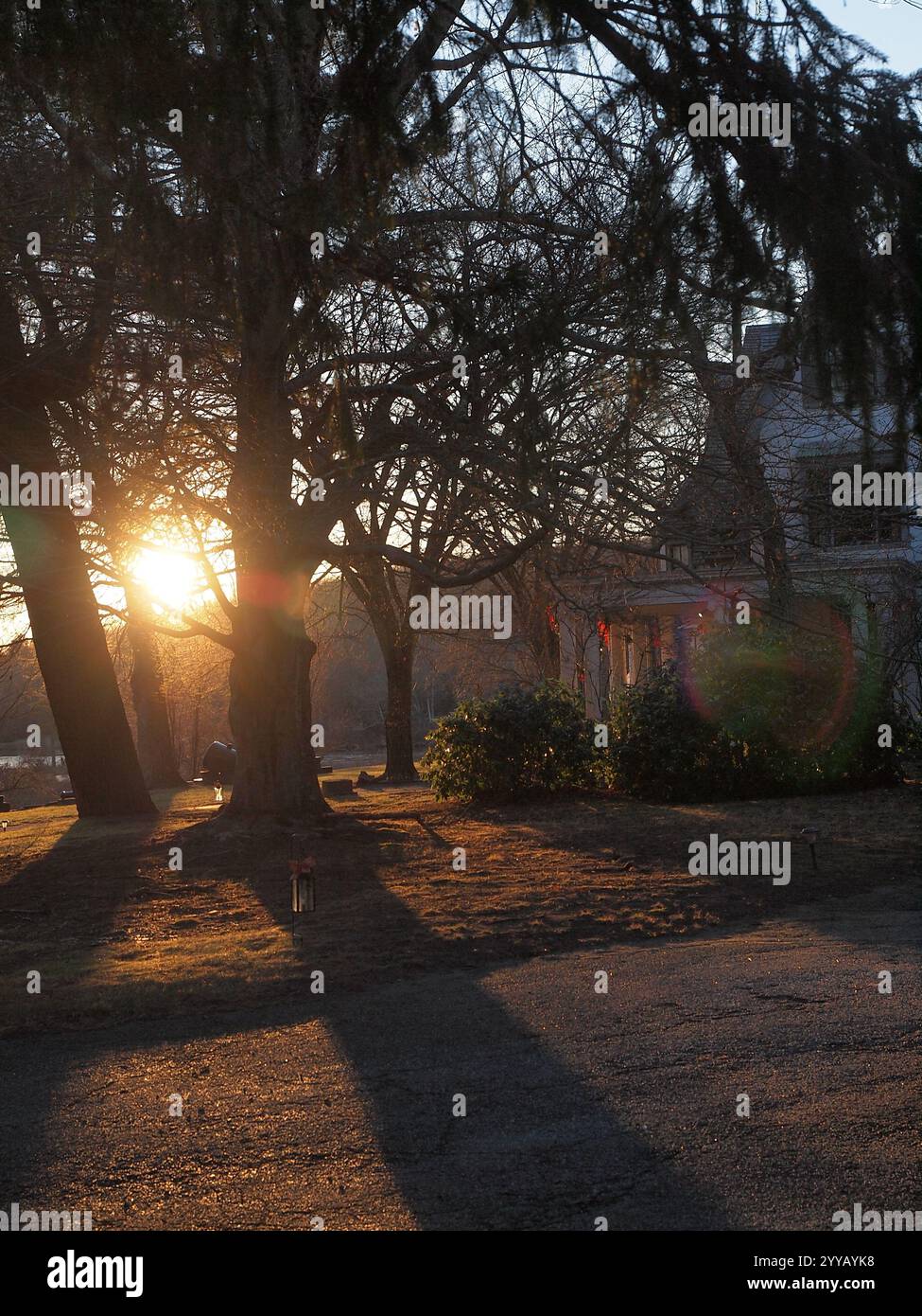 Imponenti alberi di quercia al sole e all'ombra del Ringwood State Park nel New Jersey. Lunghe ombre vicino alla casa di Hewitt Manor. Foto Stock