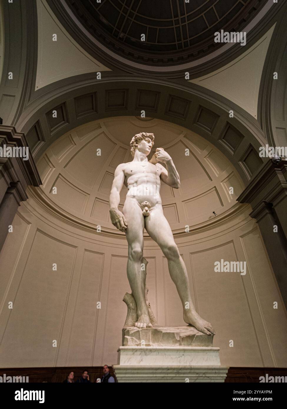 Una fotografia verticale della statua del David di Michelangelo nella Galleria dell'Accademia di Firenze, scattata il 13 dicembre 2015. I visitatori ammirano l'iconico Foto Stock