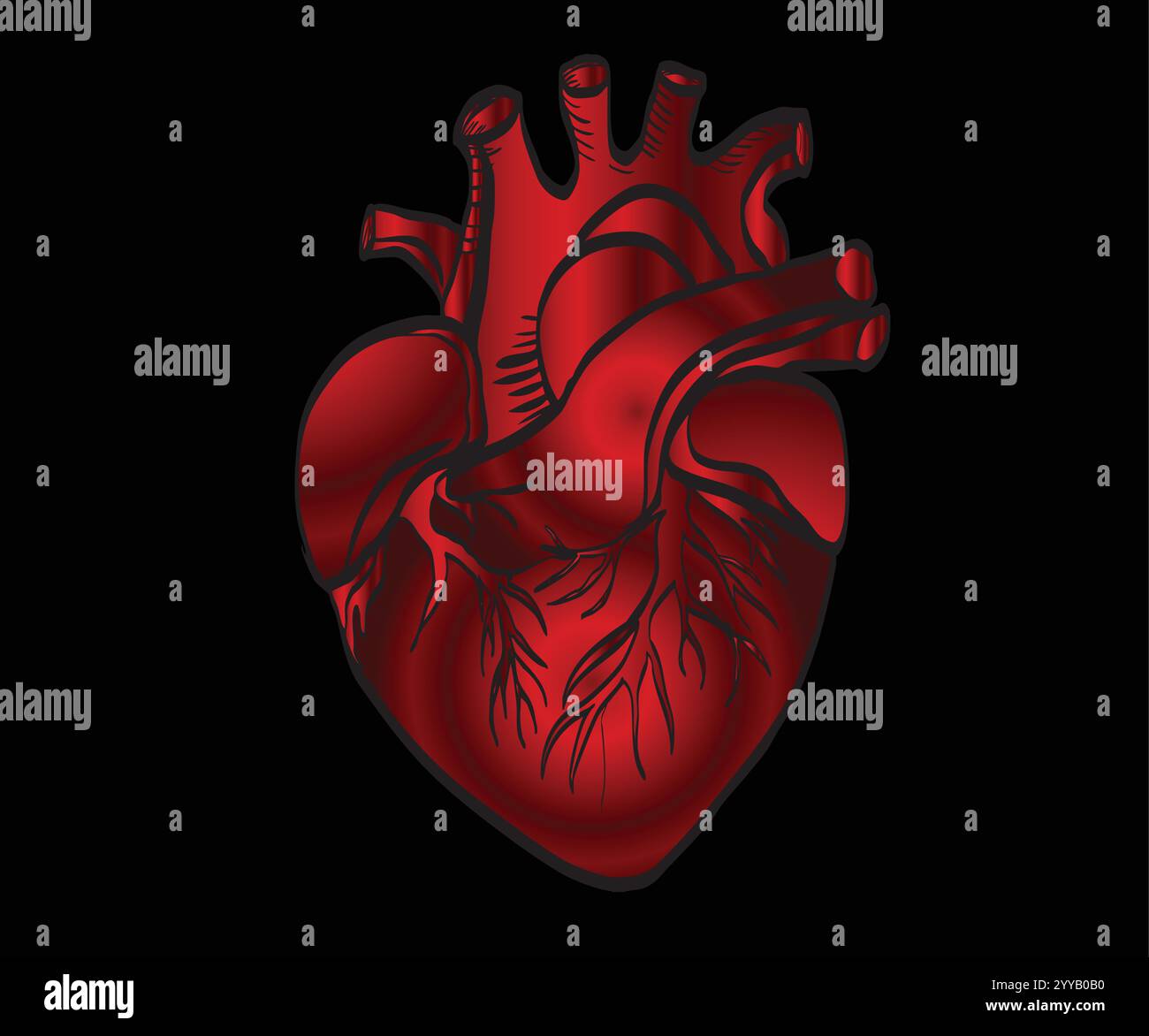Cuore rosso anatomico realistico che batte su sfondo scuro Illustrazione Vettoriale
