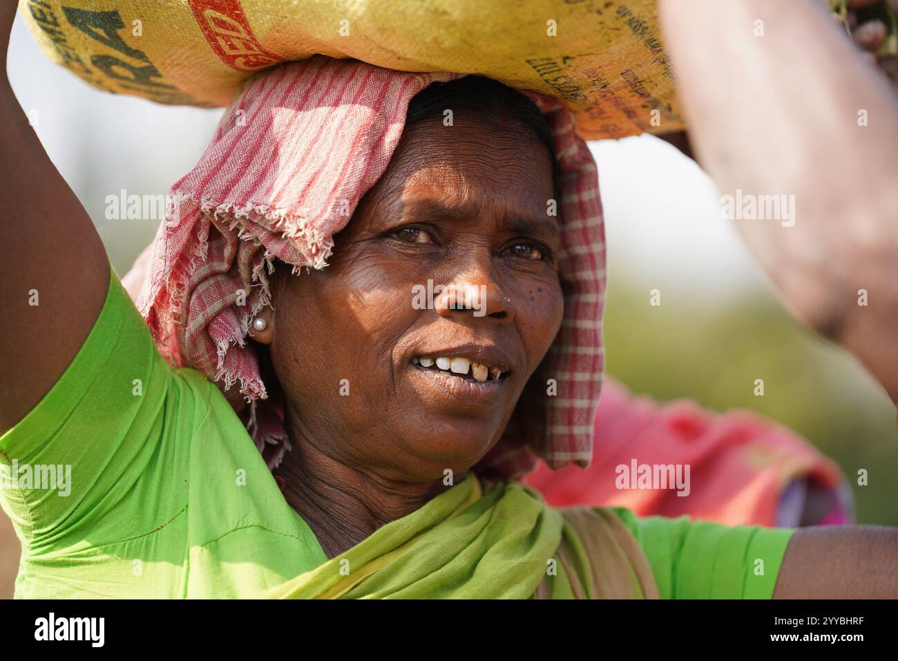 Santiniketan, India. 7 dicembre 2024: Le donne a piedi nudi attraversano il tranquillo fiume Kopai e gli stagni poco profondi nel distretto Birbhum del Bengala Occidentale, raccogliendo meticolosamente ostriche dal letto del fiume e dai pavimenti dello stagno. Questo rituale quotidiano mette in evidenza la resilienza e l'autonomia della comunità Adivasi, mentre cercano fonti fresche di proteine animali essenziali per il loro sostentamento. Il loro legame con la natura e le pratiche tradizionali riflette uno stile di vita armonioso ma ad alta intensità di lavoro, profondamente radicato nel tessuto culturale della regione. Questa routine incarna lo spirito duraturo dell'indigenou indiano Foto Stock