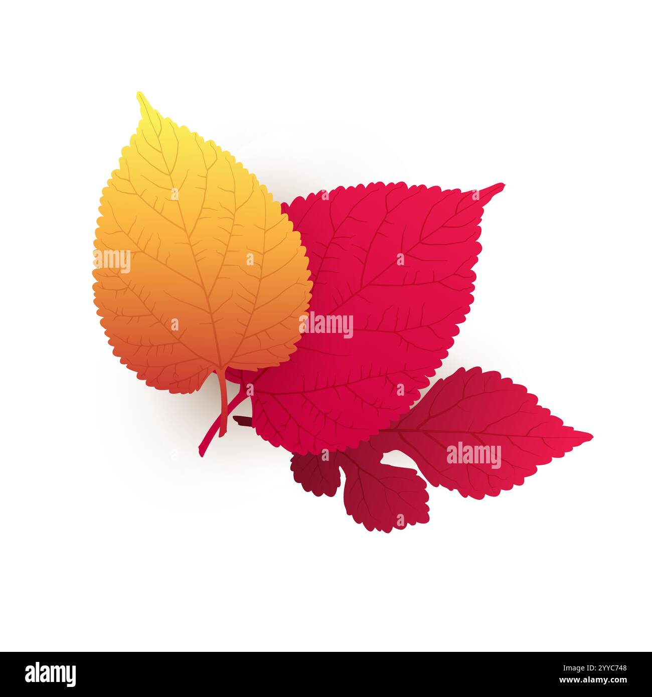 Tre foglie d'albero cadute rosse, marroni e d'autunno d'oro su sfondo bianco - modello di disegno isolato in formato vettoriale modificabile Illustrazione Vettoriale