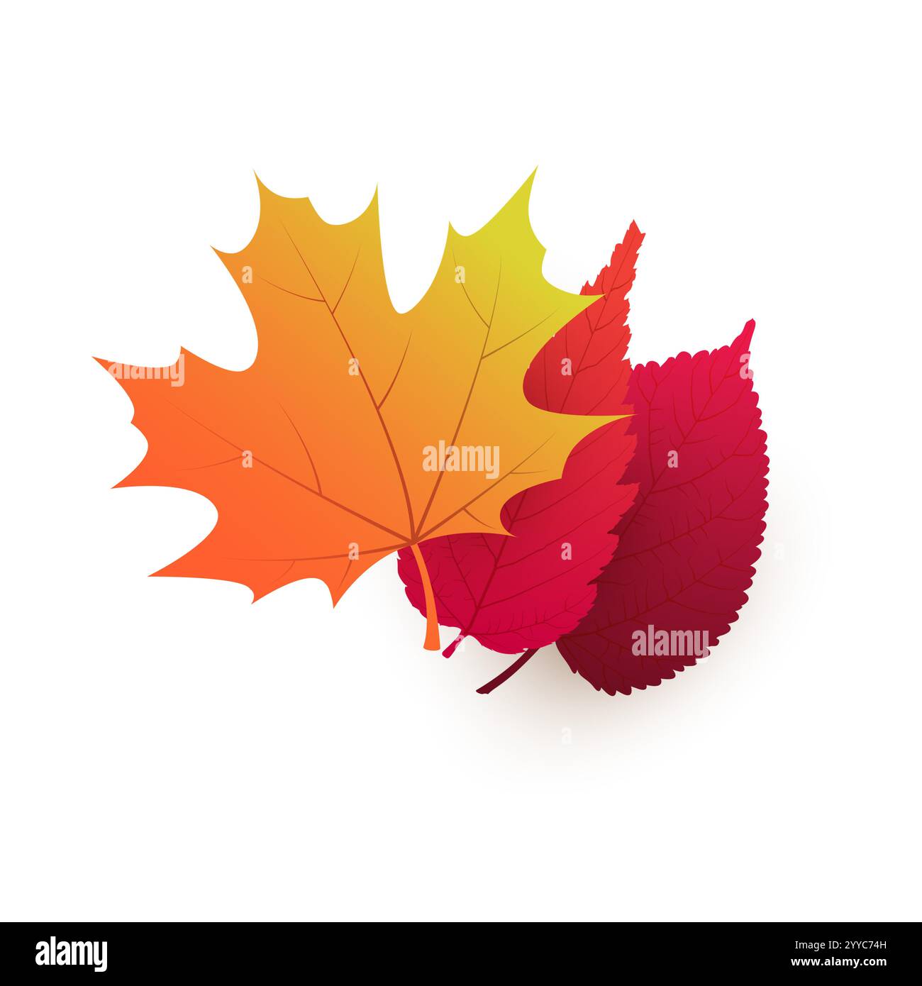Tre foglie d'albero cadute rosse, marroni e d'autunno d'oro su sfondo bianco - modello di disegno colorato in formato vettoriale modificabile Illustrazione Vettoriale