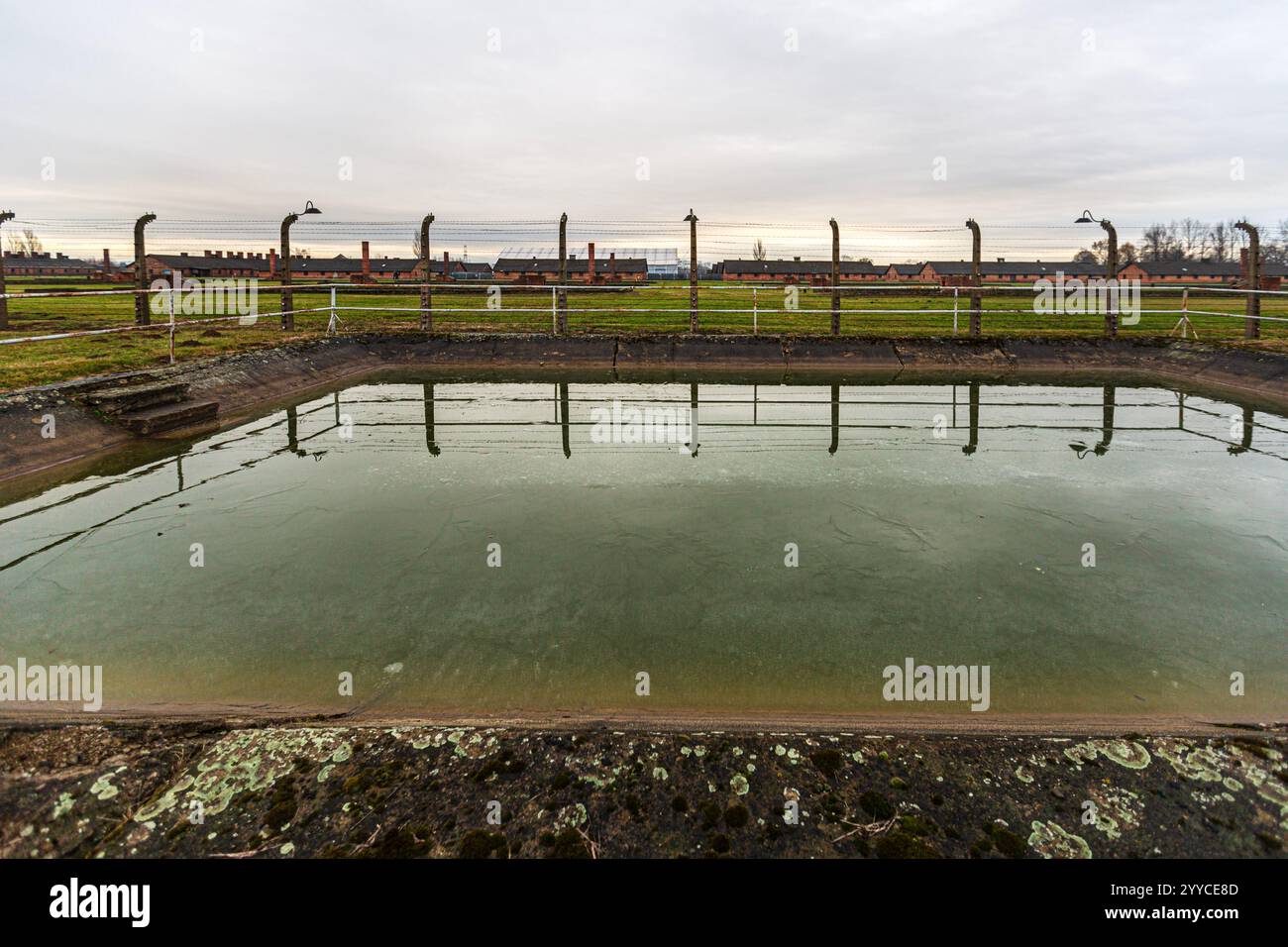 Riflettere sulla disperazione: Una piscina ad Auschwitz-Birkenau Foto Stock