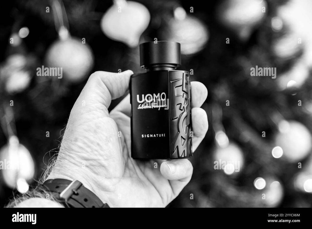 Brasile, 21 dicembre 2024. Profumo vintage uomo Signature da uomo con una piramide olfattiva calda e piccante per l'autunno inverno. Foto Stock