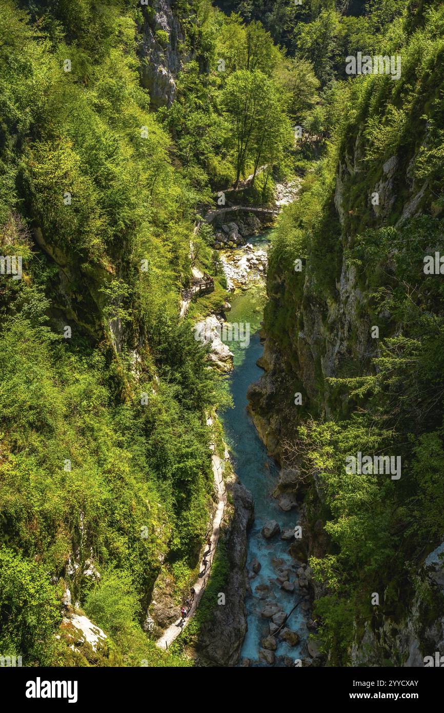 I turisti camminano su una passerella di legno sopra un fiume turchese che scorre attraverso la gola di tolmin in slovenia, circondato da una vegetazione lussureggiante Foto Stock