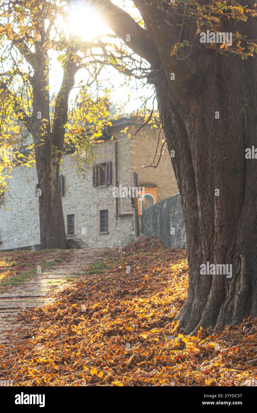 vecchia fattoria di montagna durante la stagione autunnale Foto Stock