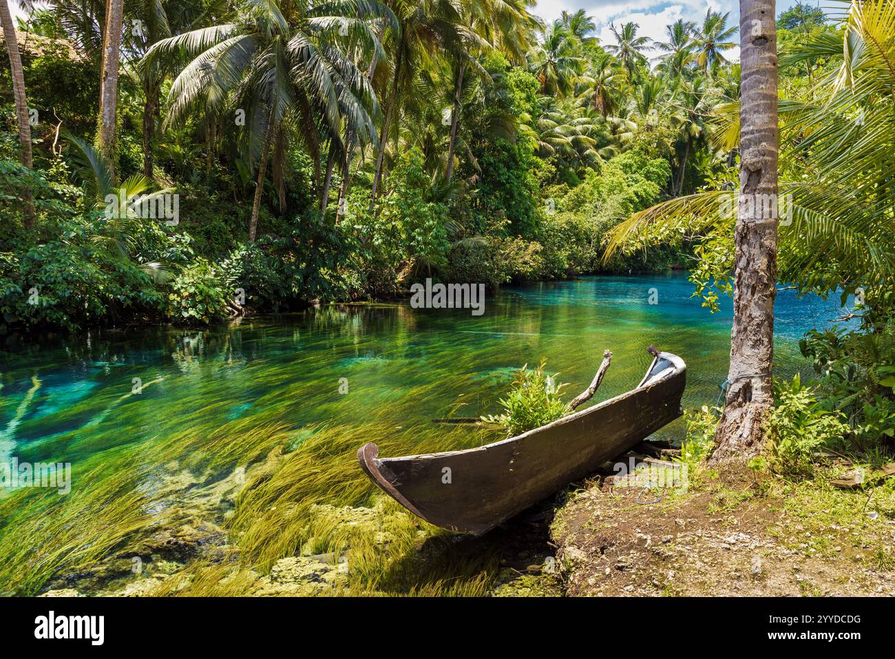Lago di acqua dolce con acqua cristallina nella foresta tropicale in Indonesia. Foto Stock