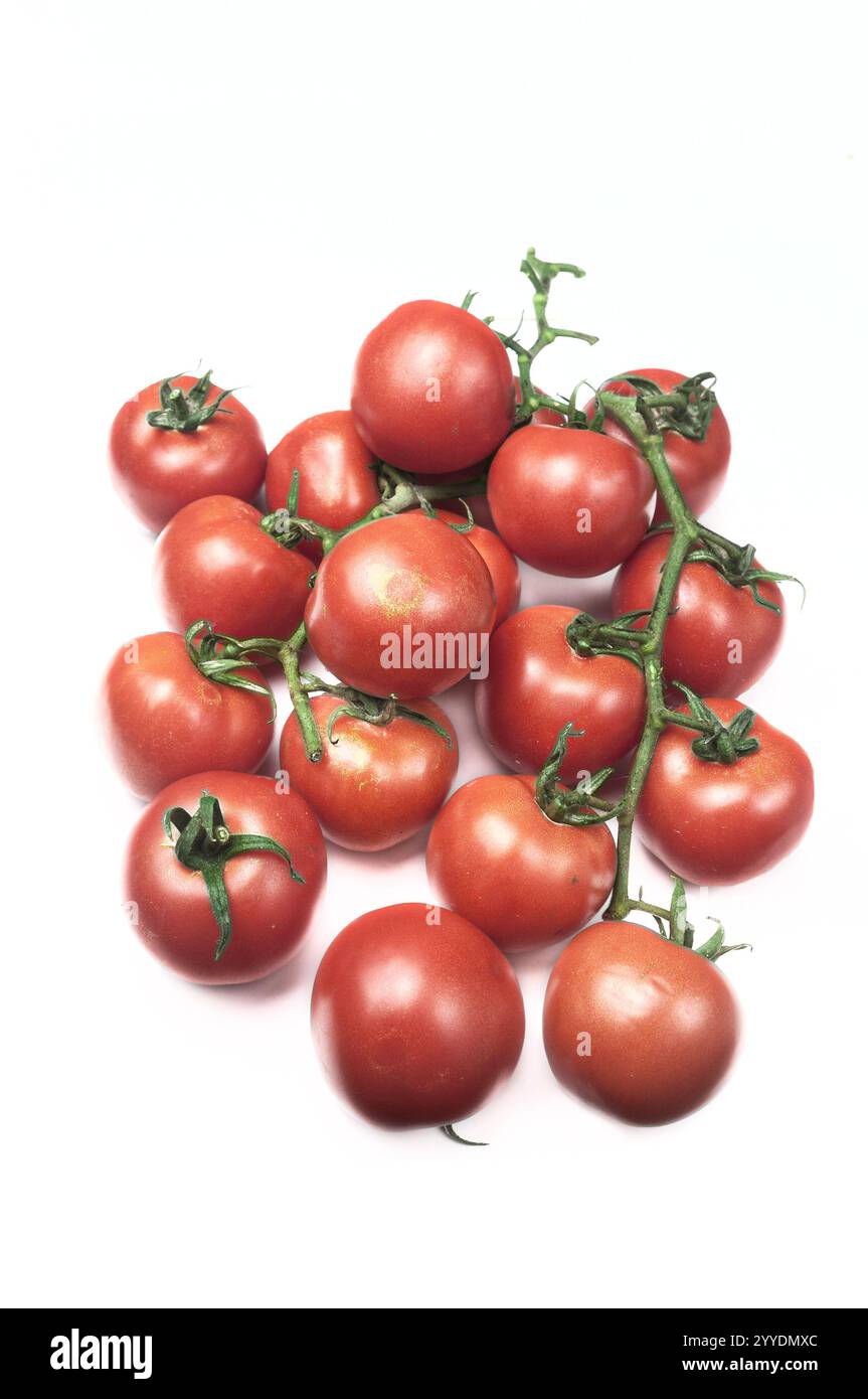 Pomodori da vite del giardino valenciano. Foto Stock