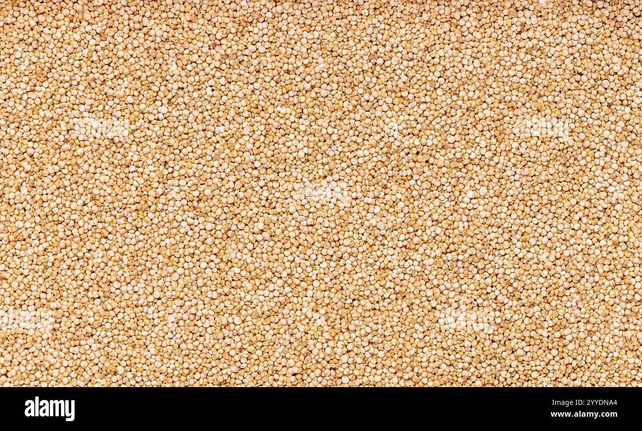 Macro fotografia di quinoa bianca cruda, semi di piante in fiore, cereali senza glutine alternativi, cibo vegano sano naturale, fibra alimentare Foto Stock