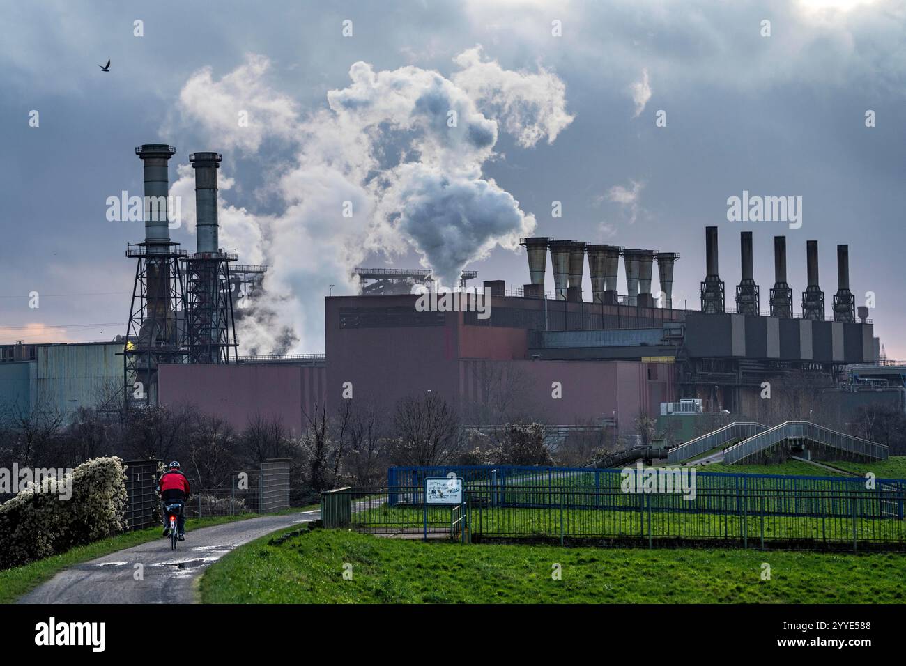 ThyssenKrupp Steel Beeckerwerth, sul Reno, dove, tra l’altro, l’acciaieria per ossigeno 2, il laminatoio a freddo, l’impianto di rivestimento per immersione a caldo, Foto Stock