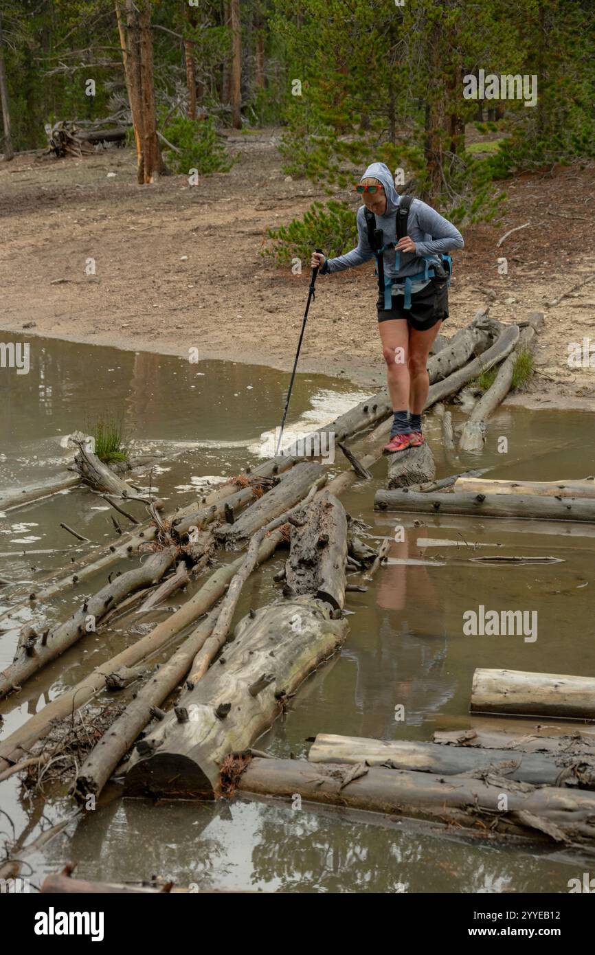 Woman attraversa il torrente sul Fallen Log Jam nel parco nazionale di Yellowstone Foto Stock