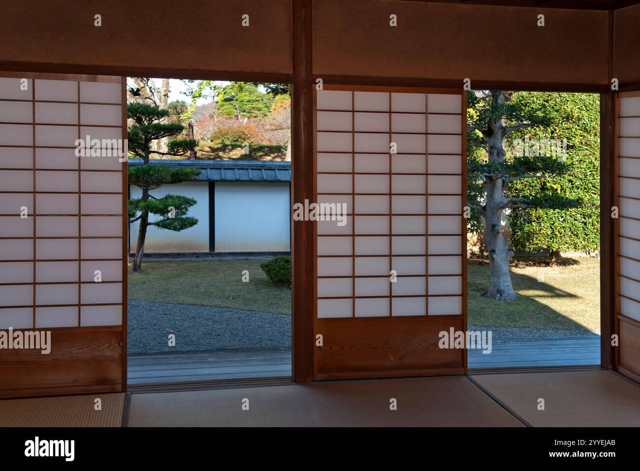 Ammira attraverso schermi di carta scorrevoli shoji aperti di un giardino paesaggistico giapponese presso il Museo del Castello di Hikone, Shiga, Giappone. Foto Stock