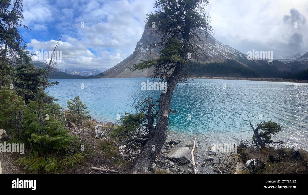 Splendida vista sul lago Loiuse - Immagine stock catturata con smartphone