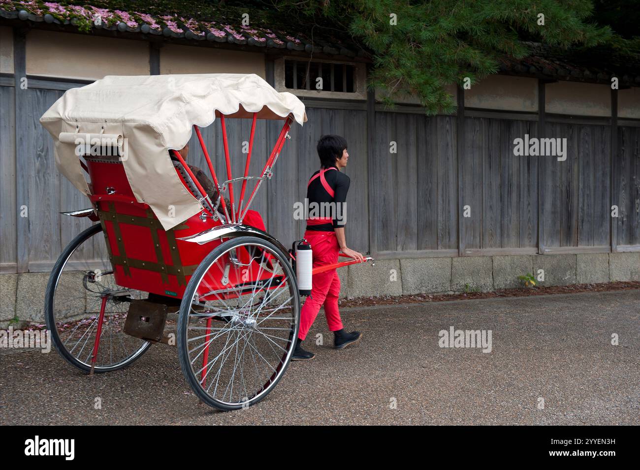 Un corridore di risciò (jinrikisha) trasporta i turisti nel quartiere storico vicino al castello di Hikone nella prefettura di Shiga, in Giappone. Foto Stock