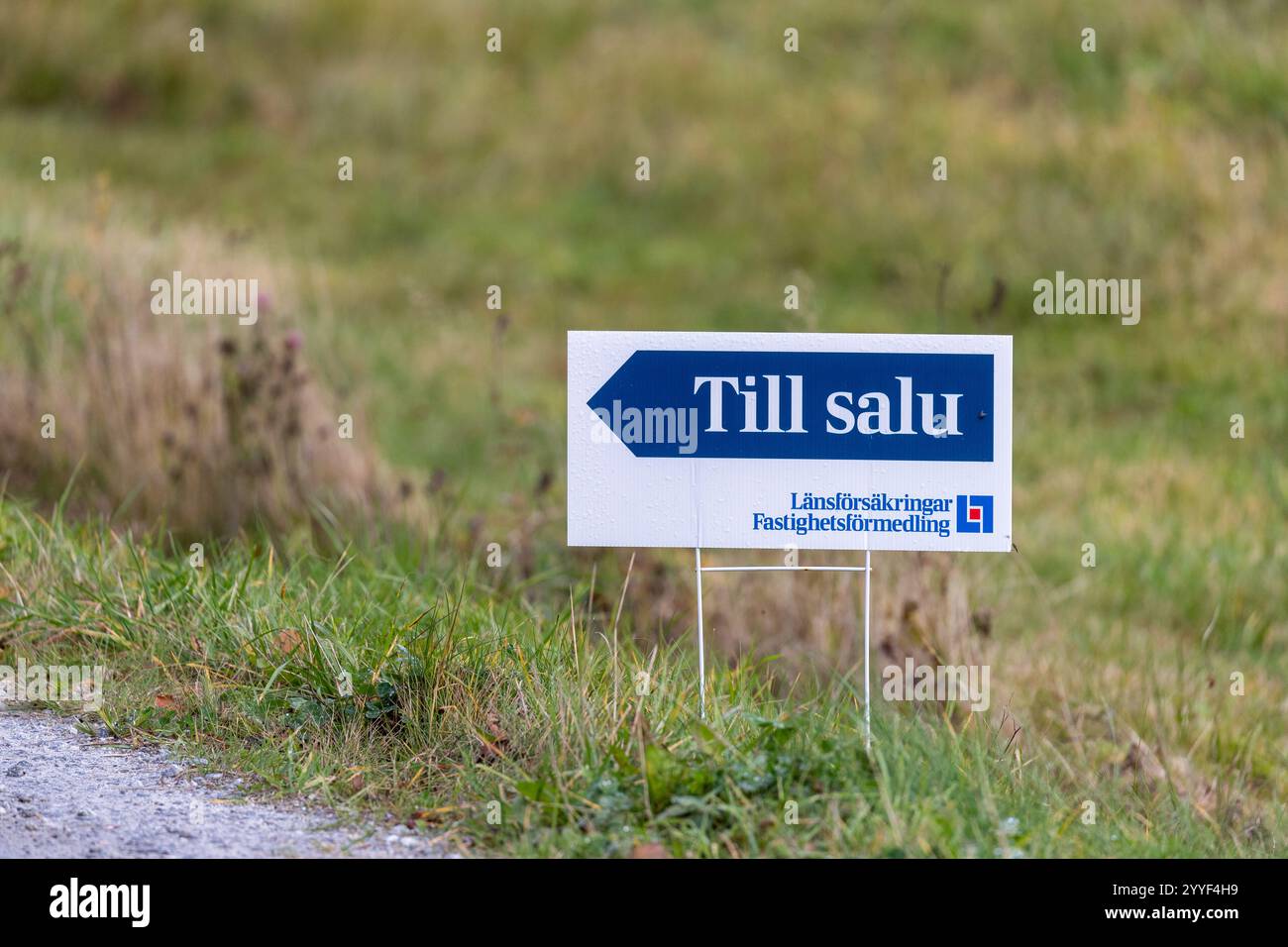 Goteborg, Svezia - 19 ottobre 2024: Cartello dell'agenzia immobiliare sul ciglio della strada. Nessuna persona visibile. Foto Stock