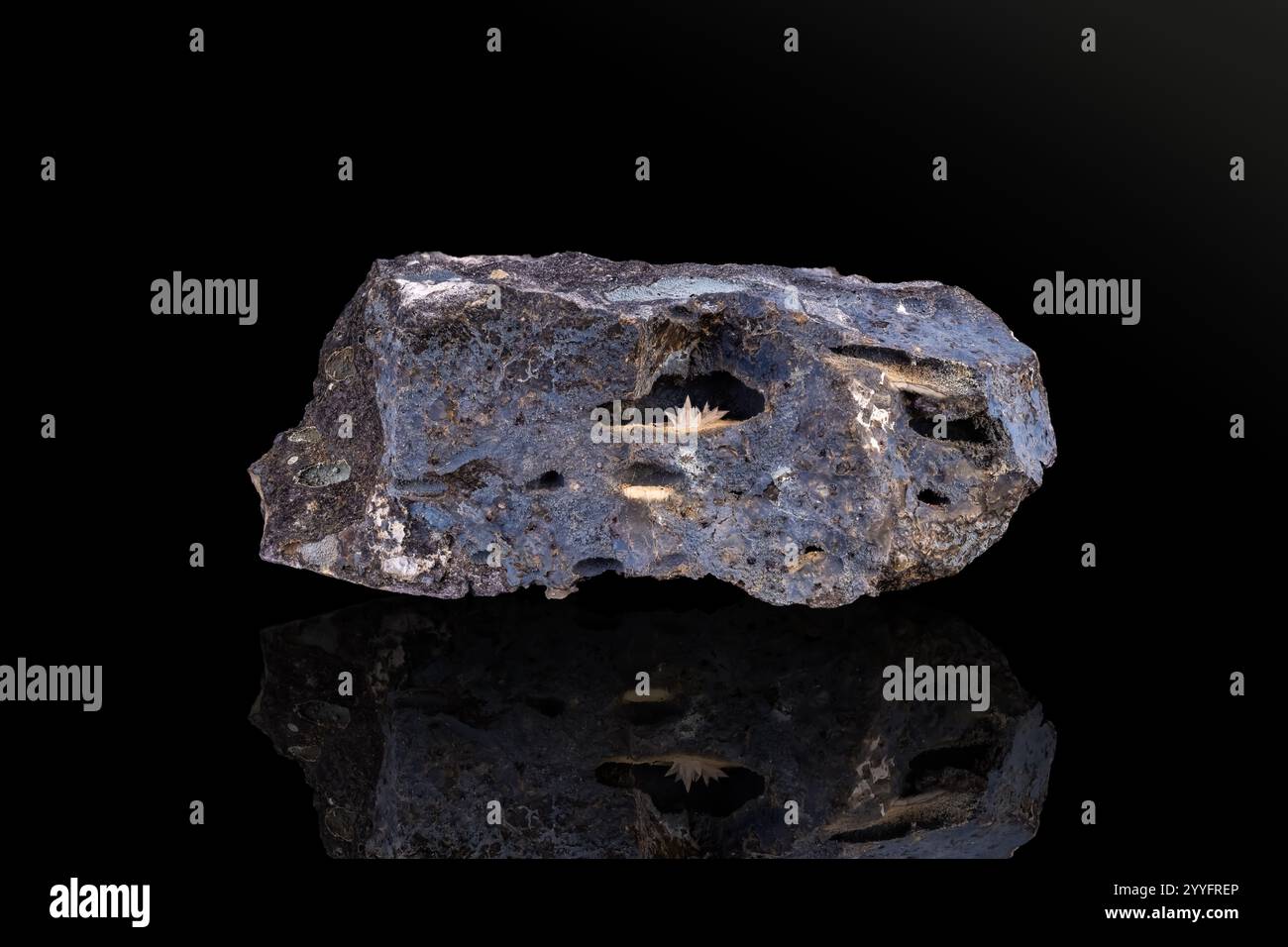 Calcite su basalto. Esemplare di Saint-jean-le-centenier, Francia. fotografia isolata su sfondo nero. dettagli macro primo piano su un'unpoli di cristallo minerale Foto Stock